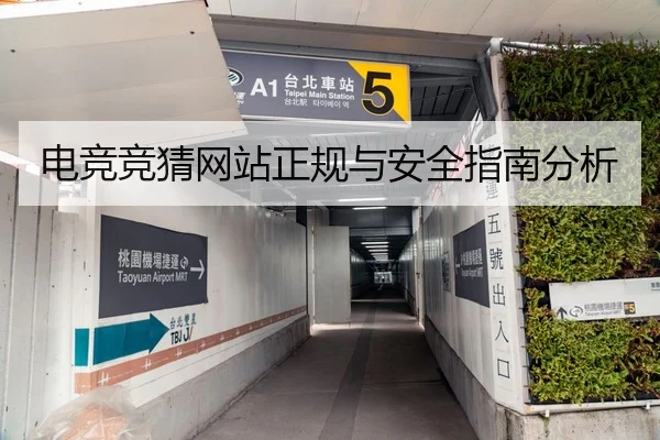 电竞竞猜网站正规与安全指南分析